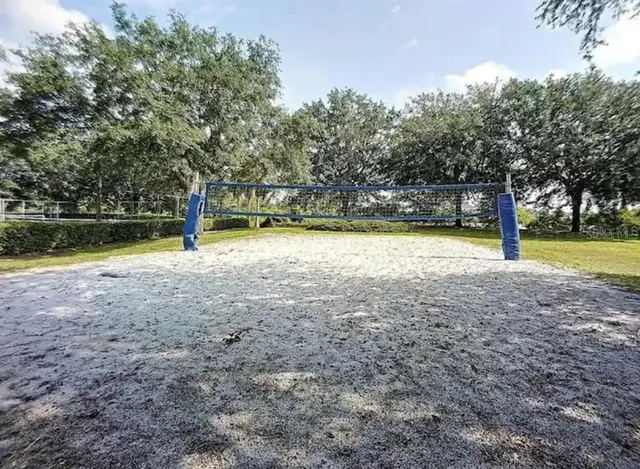a view of a yard with trees
