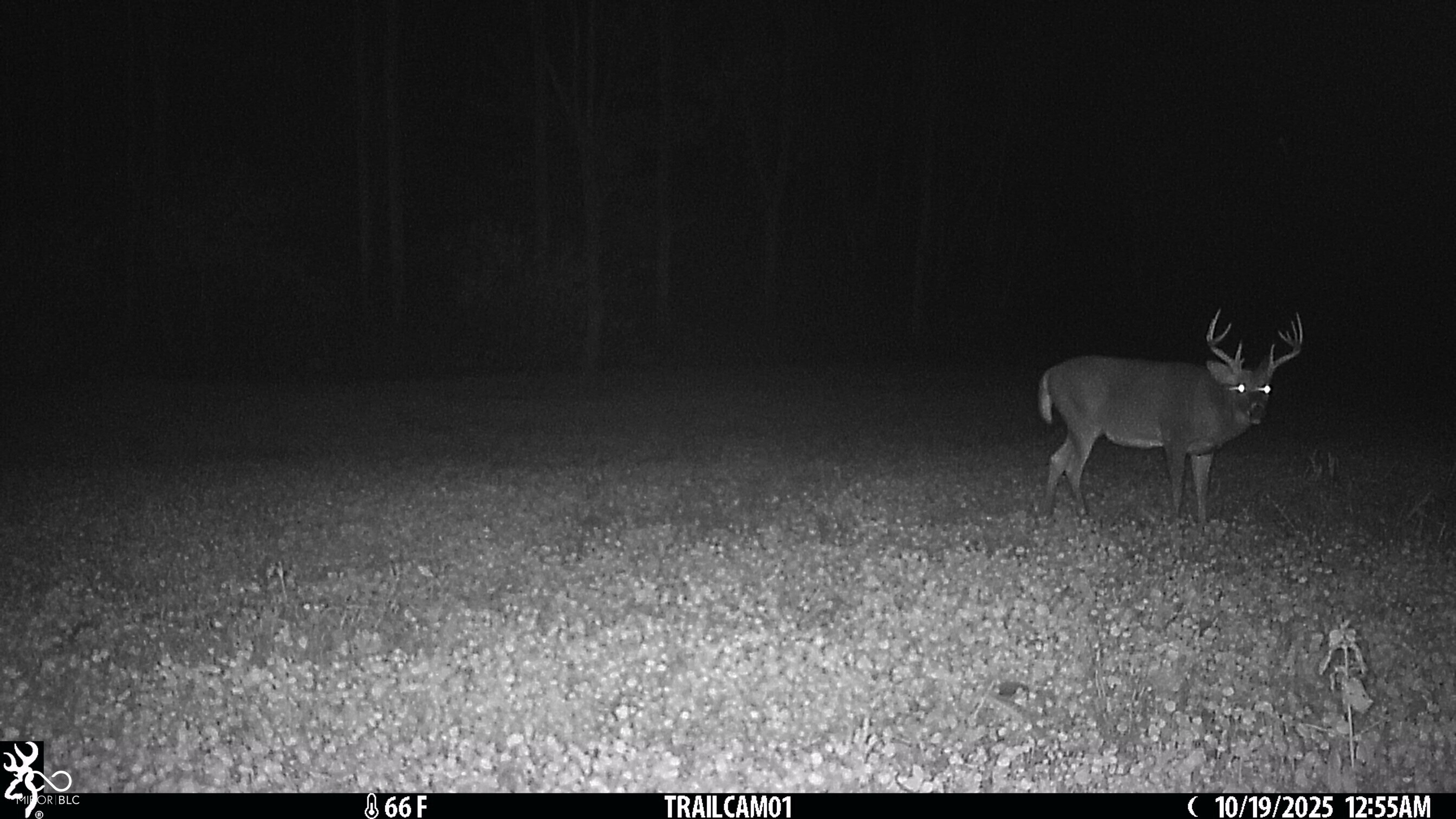2933 Saluda Hl Road Hanover, IN 47243 - Photo 115 of 122