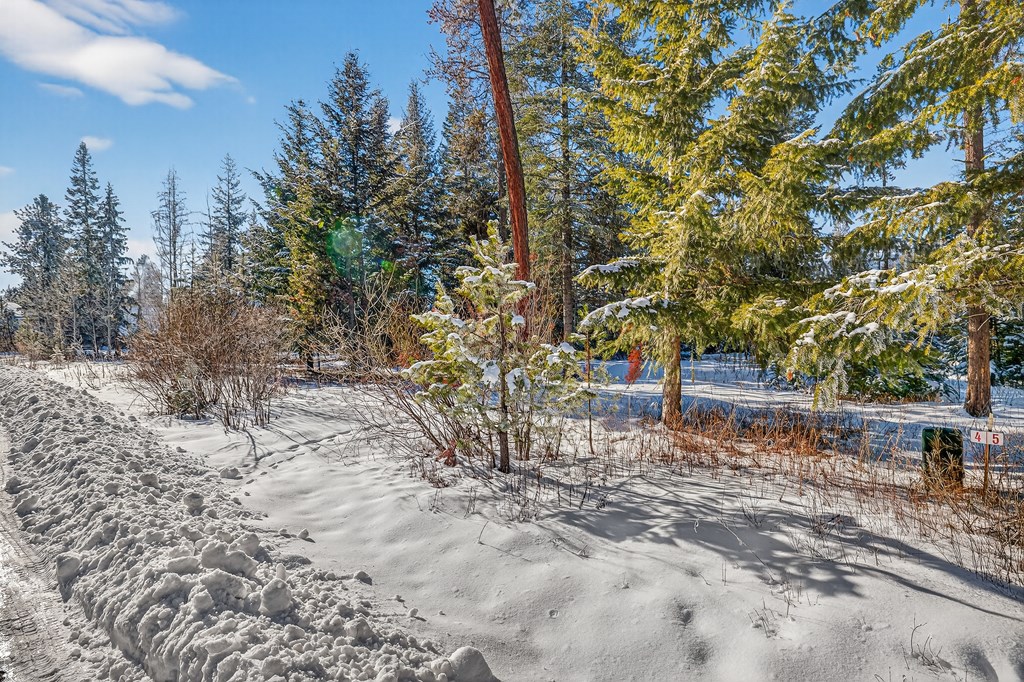 7 Windsong Way, Unit 4 Donnelly, ID 83615 - Photo 2 of 7