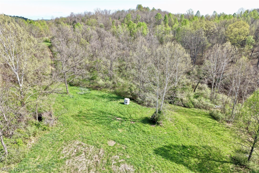 0 Harrons Ridge Road Dexter City, OH 45727 - Photo 9 of 29