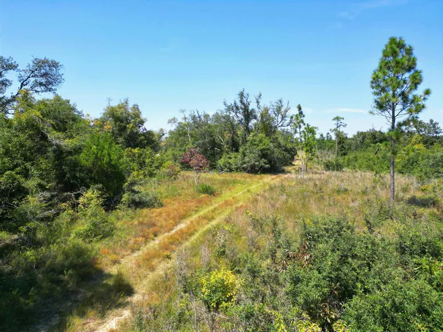 $495,000 | Xxx North W Longleaf Drive, Bristol, FL 32321