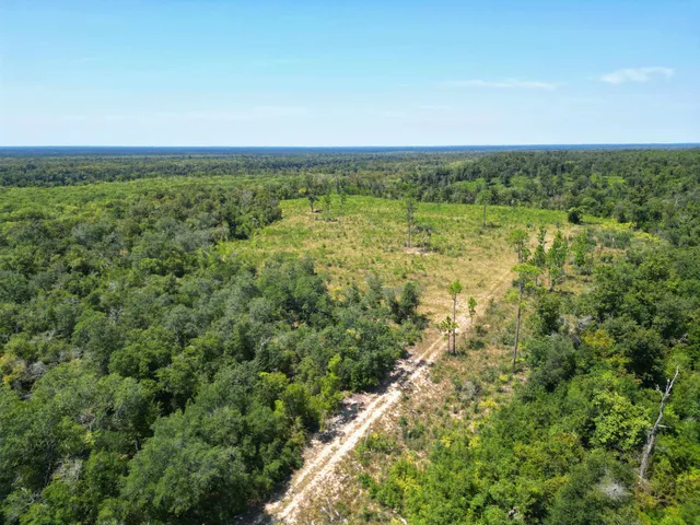 $495,000 | Xxx North W Longleaf Drive, Bristol, FL 32321