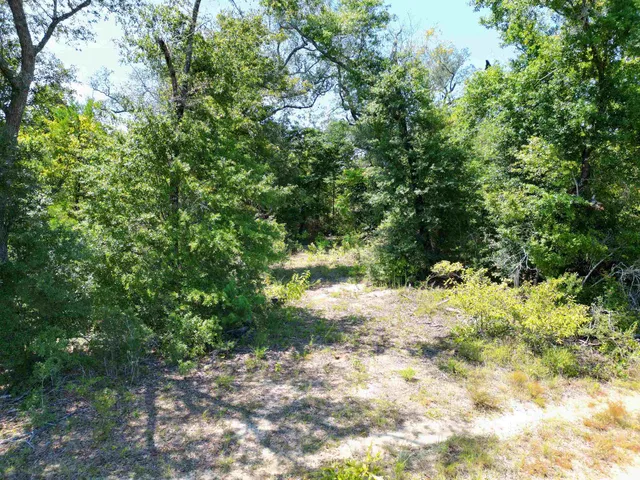 $495,000 | Xxx North W Longleaf Drive, Bristol, FL 32321