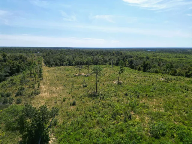 $495,000 | Xxx North W Longleaf Drive, Bristol, FL 32321