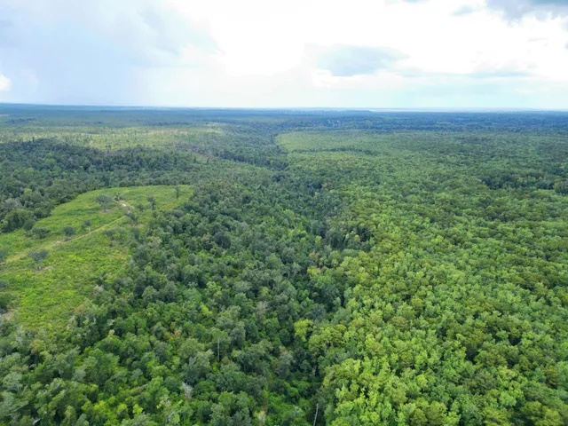 $495,000 | Xxx North W Longleaf Drive, Bristol, FL 32321