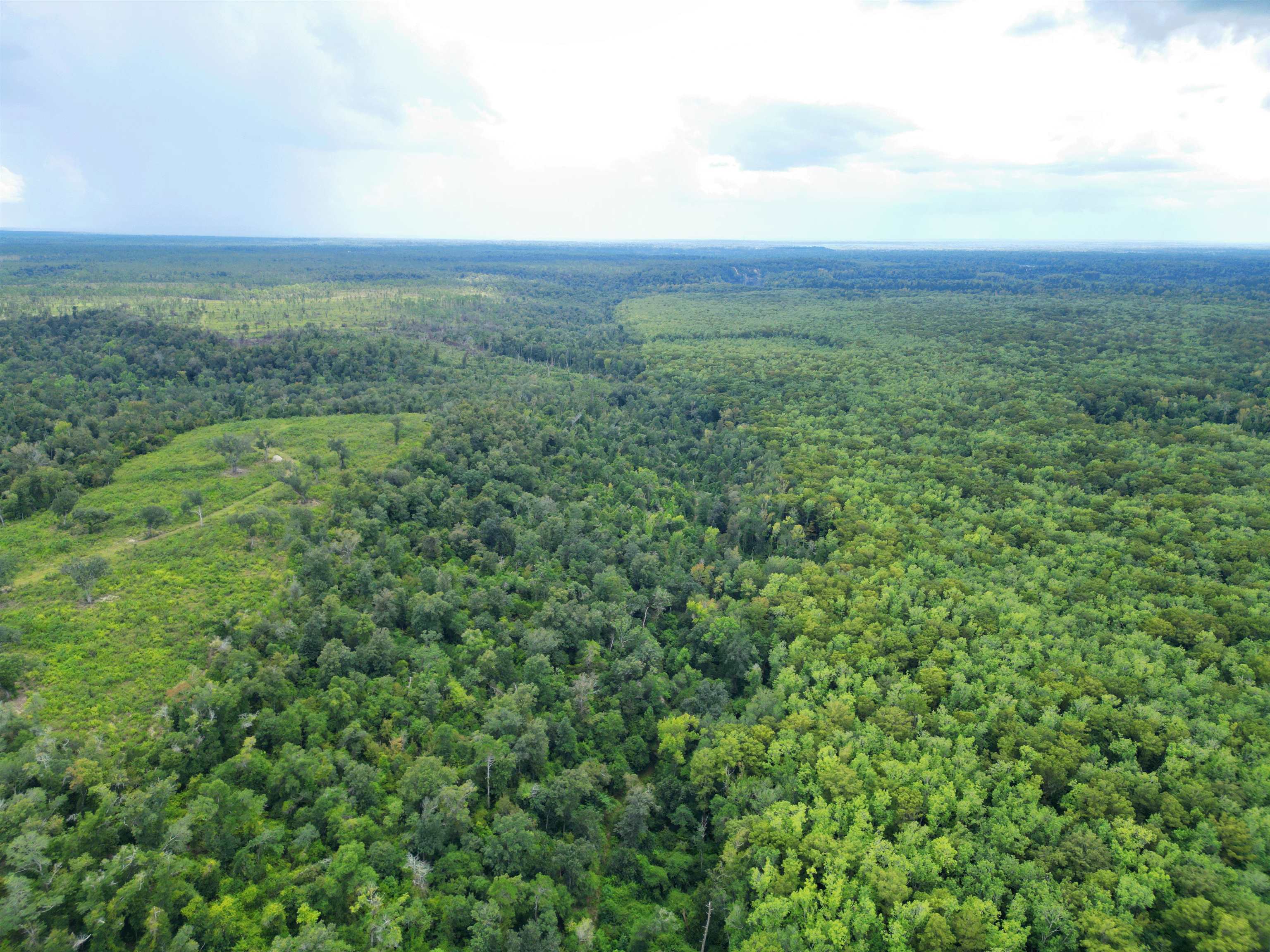 Xxx North W Longleaf Drive Bristol, FL 32321 - Photo 5 of 14