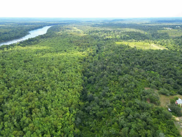 $495,000 | Xxx North W Longleaf Drive, Bristol, FL 32321