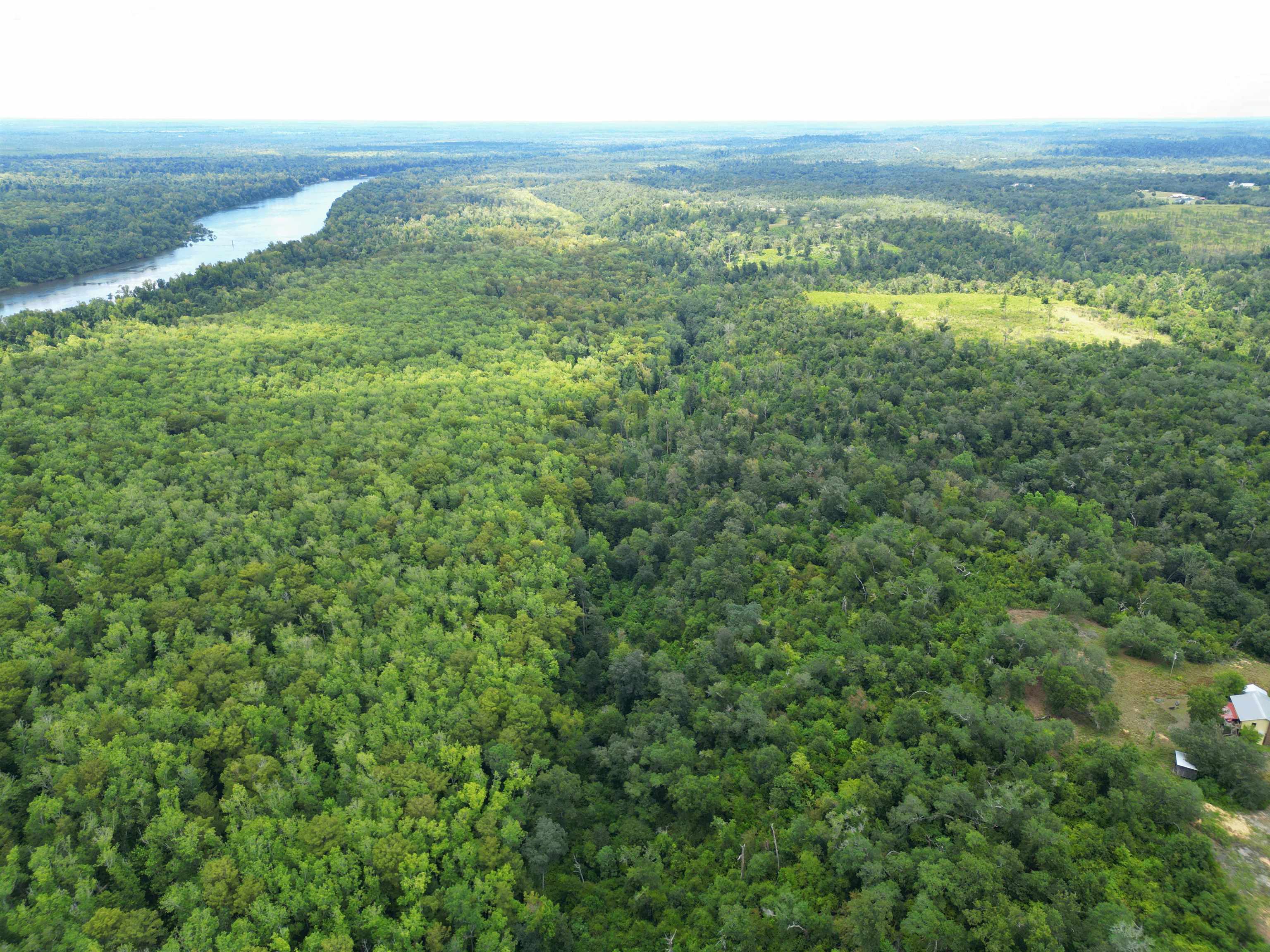 Xxx North W Longleaf Drive Bristol, FL 32321 - Photo 6 of 14