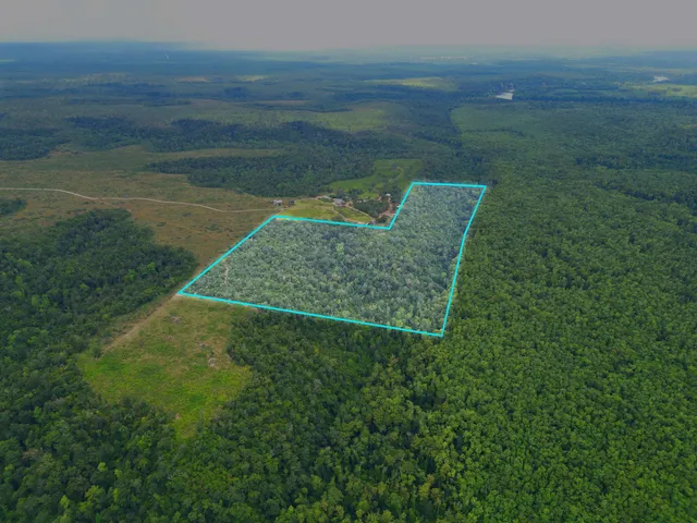 $495,000 | Xxx North W Longleaf Drive, Bristol, FL 32321