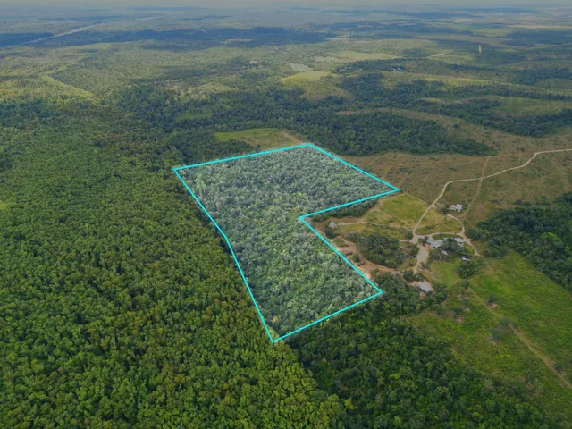 $495,000 | Xxx North W Longleaf Drive, Bristol, FL 32321