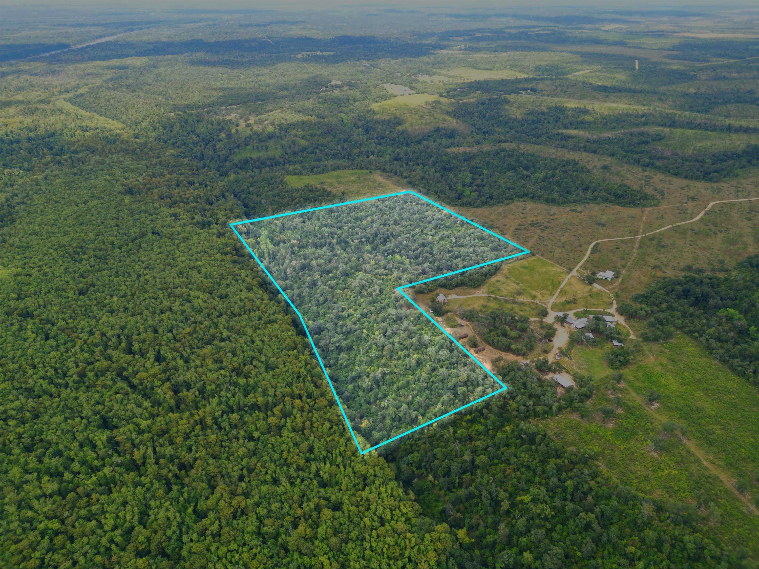 Xxx North W Longleaf Drive Bristol, FL 32321 - Photo 8 of 14