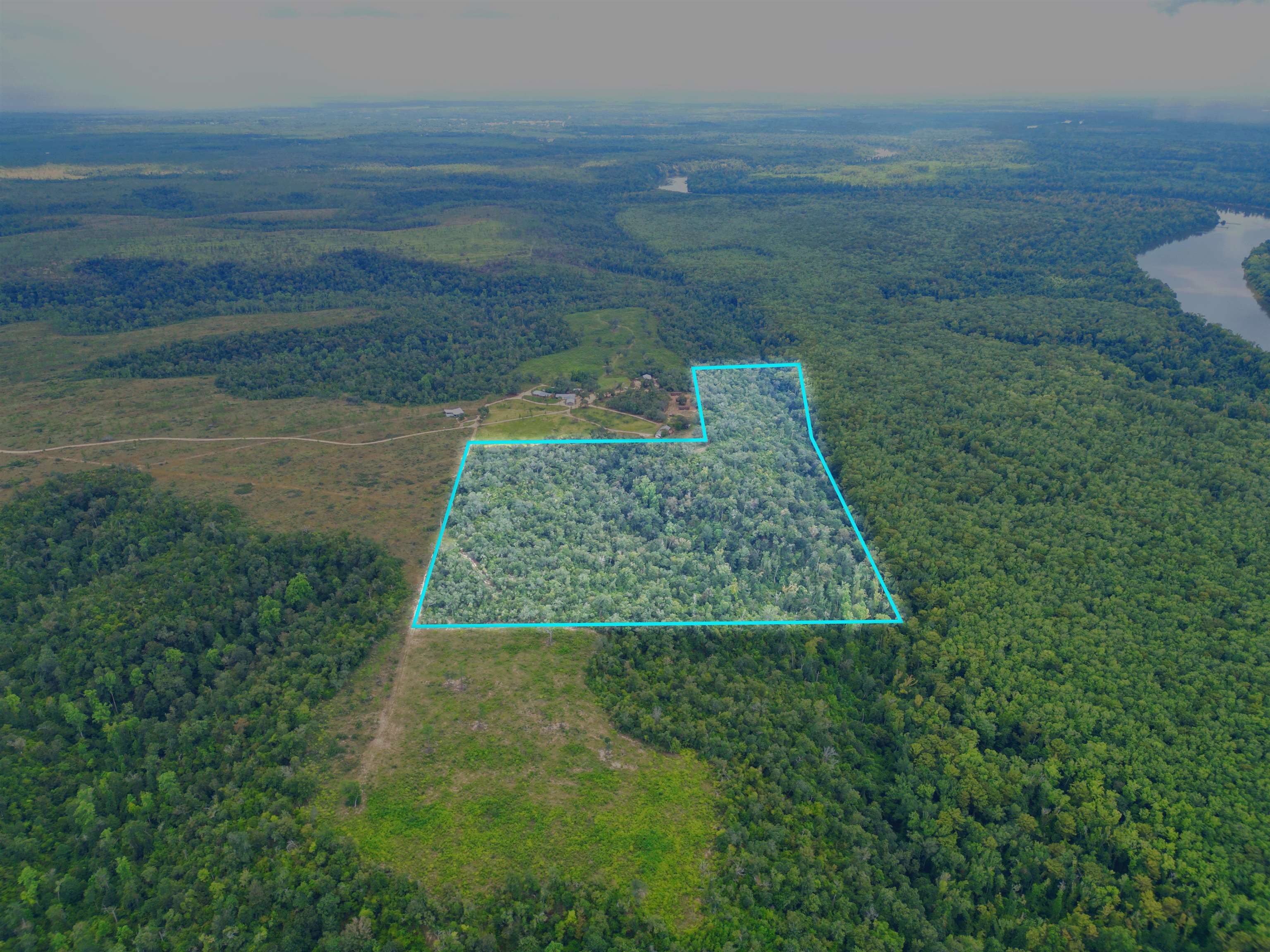 Xxx North W Longleaf Drive Bristol, FL 32321 - Photo 9 of 14