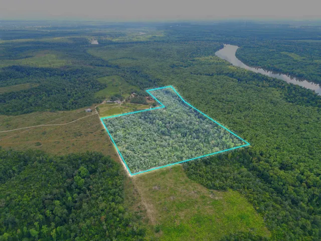 $495,000 | Xxx North W Longleaf Drive, Bristol, FL 32321