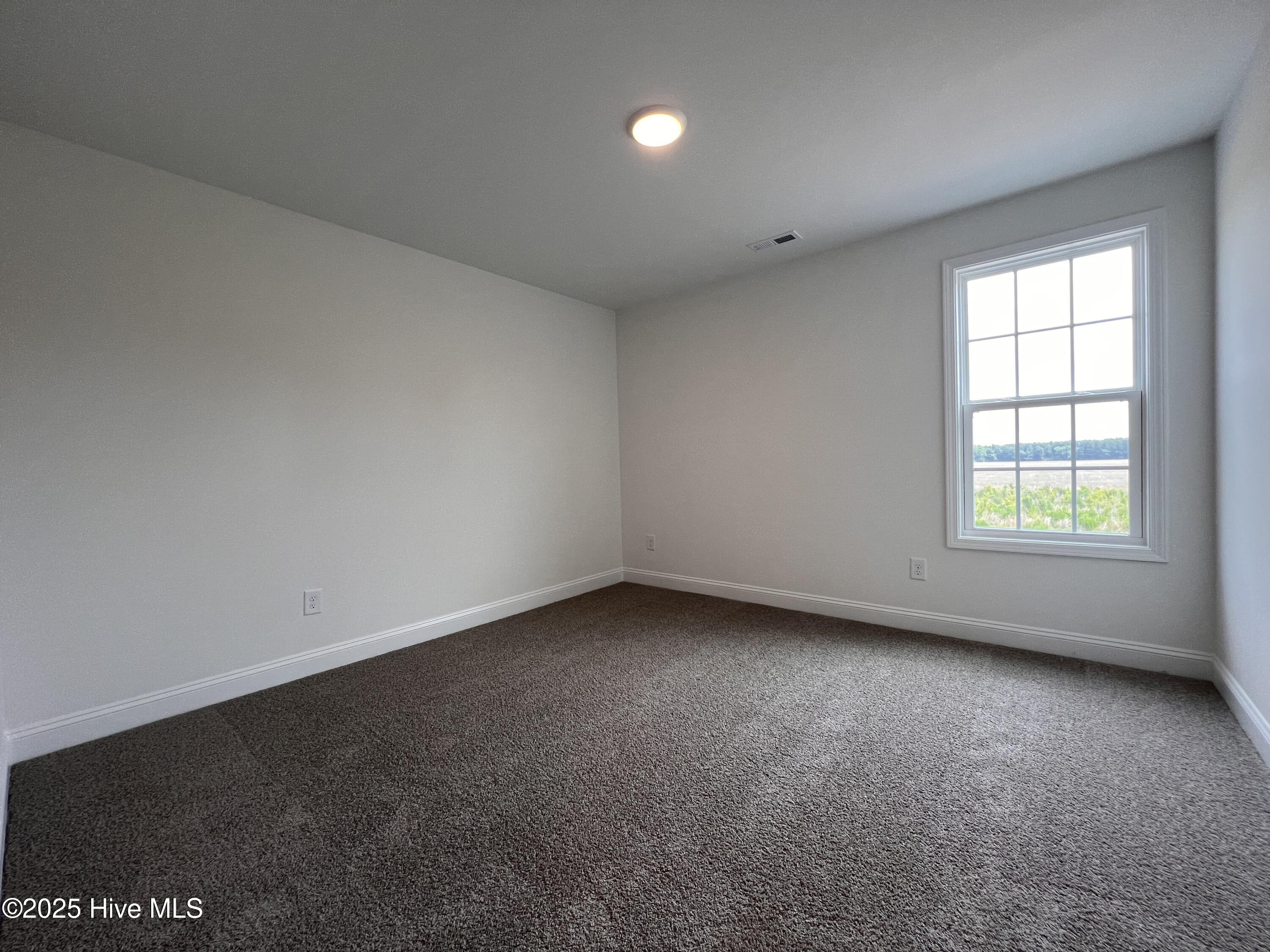 3571 Arabia Road Raeford, NC 28376 - Photo 28 of 40 IMG_6203