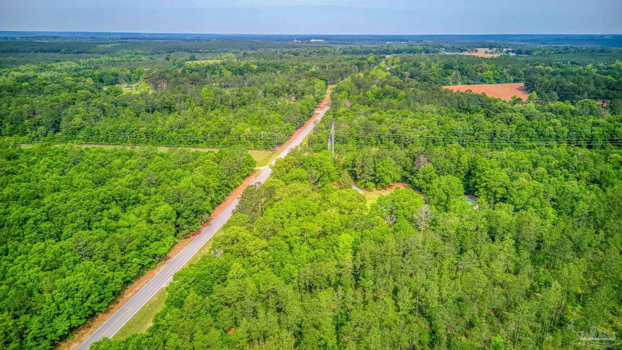4812 Wolf Log Road Flomaton, AL 36441 - Photo 38 of 47