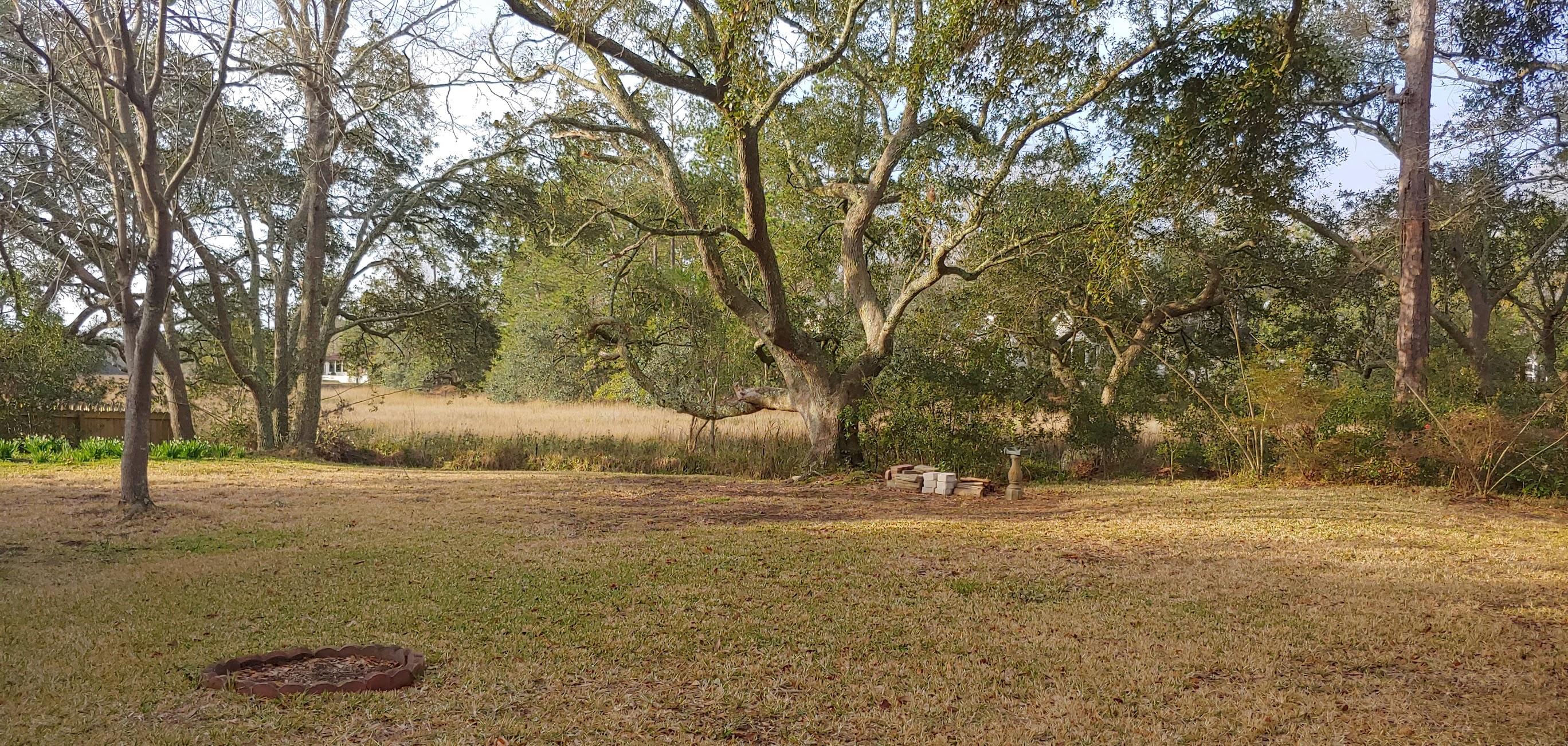 327 Canterbury Road Charleston, SC 29407 - Photo 13 of 17 Yard