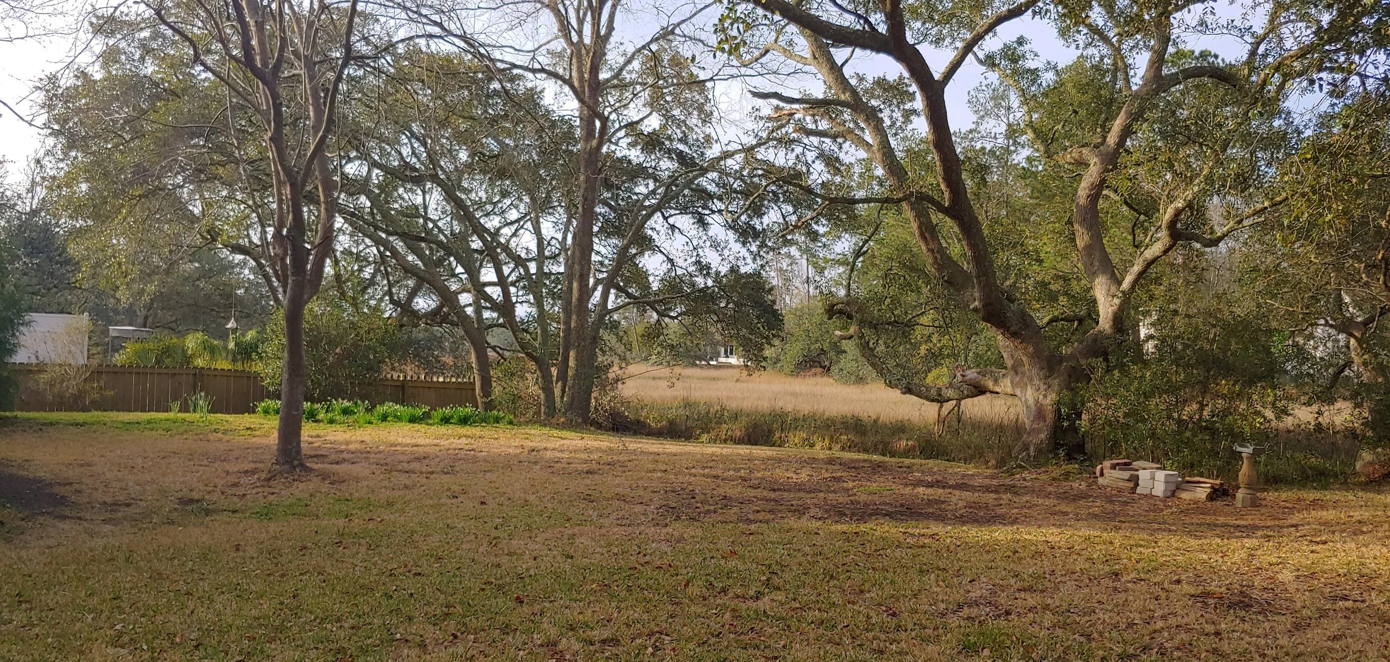 327 Canterbury Road Charleston, SC 29407 - Photo 14 of 17 Backyard