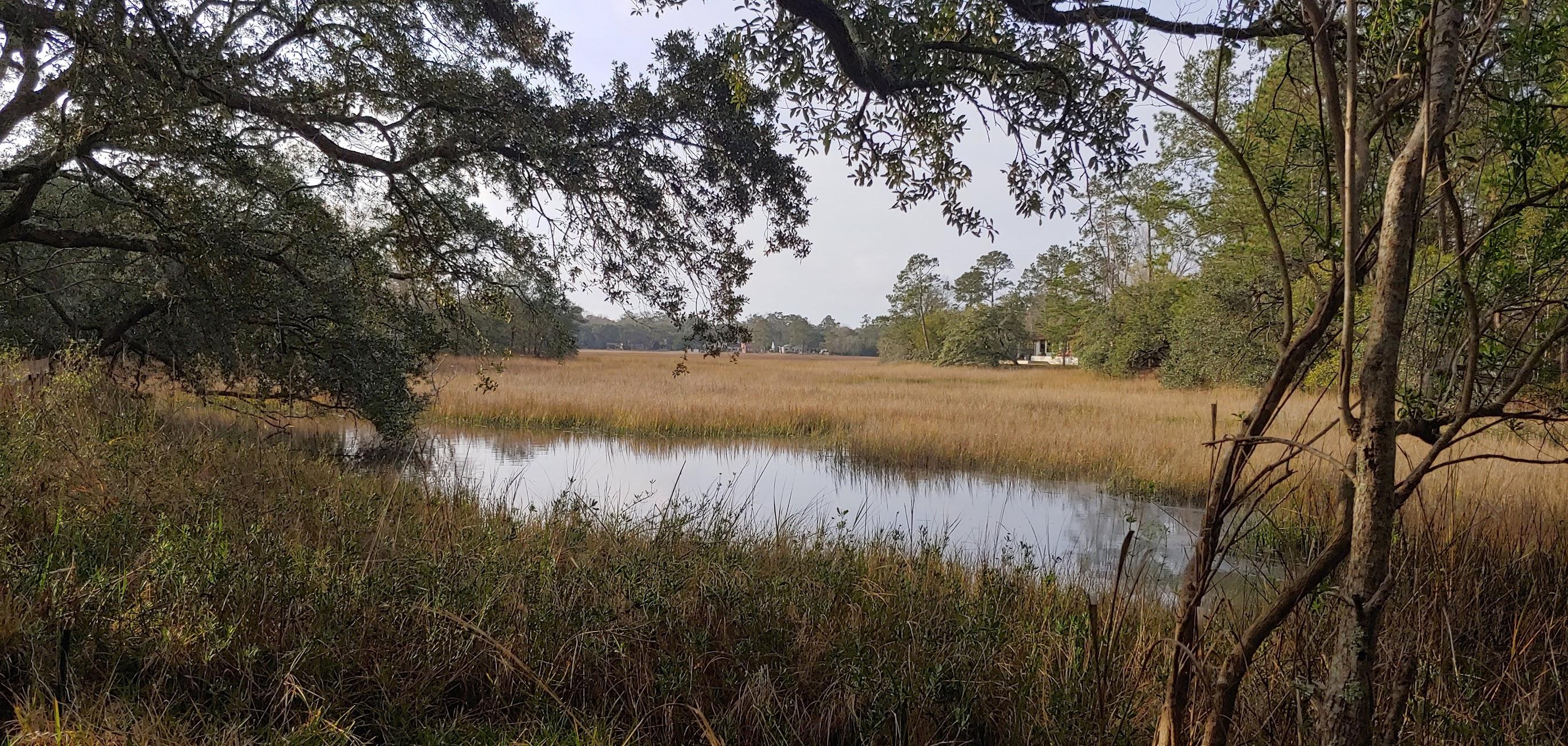 327 Canterbury Road Charleston, SC 29407 - Photo 15 of 17 Marsh 2