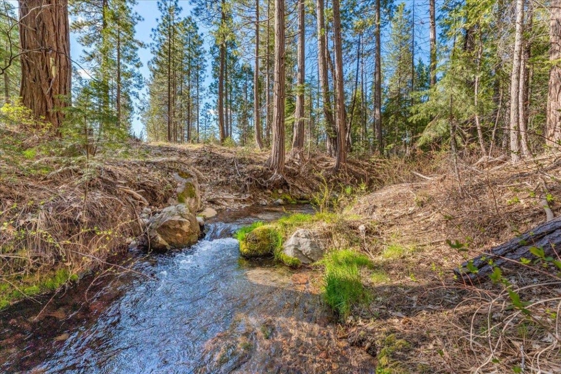 Lot East Intake Springs Road McCloud, CA 96057 - Photo 1 of 32 Gallery Image 1