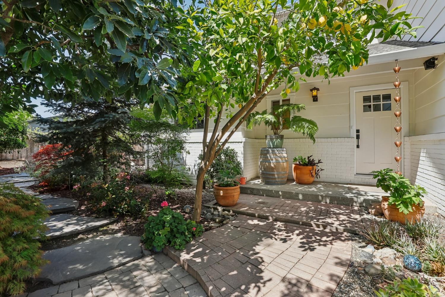 2009 Cochran Road Lodi, CA 95242 - Photo 1 of 1 Gallery Image 1