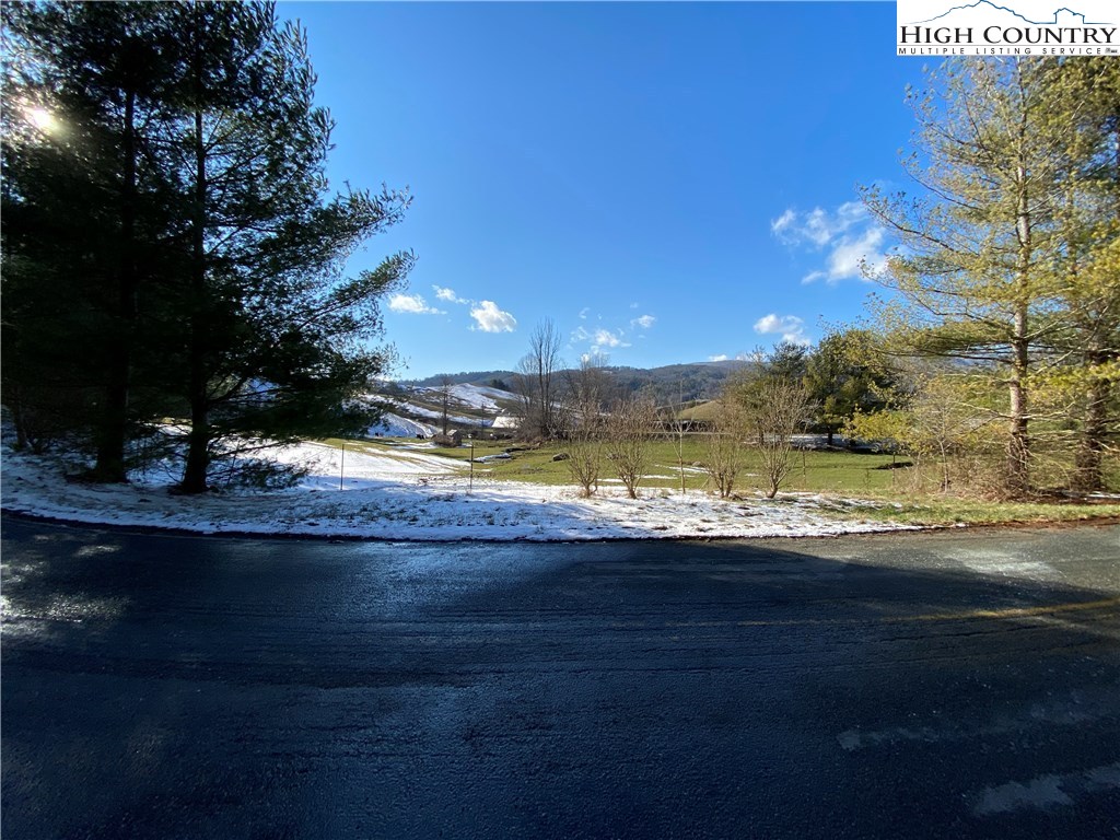 Rush Branch Road Sugar Grove, NC 28679 - Photo 4 of 19 Gallery Image 4