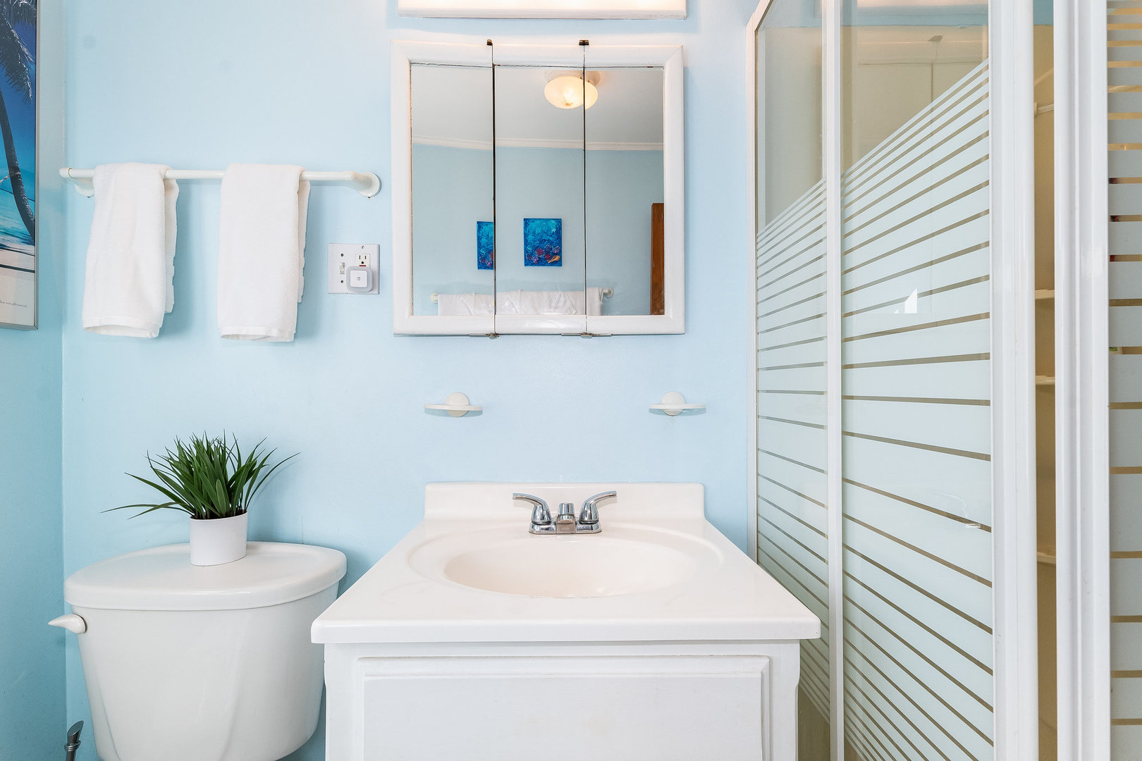 4S365 Meadow Road Naperville, IL 60563 - Photo 16 of 32 a bathroom with a sink a toilet and mirror