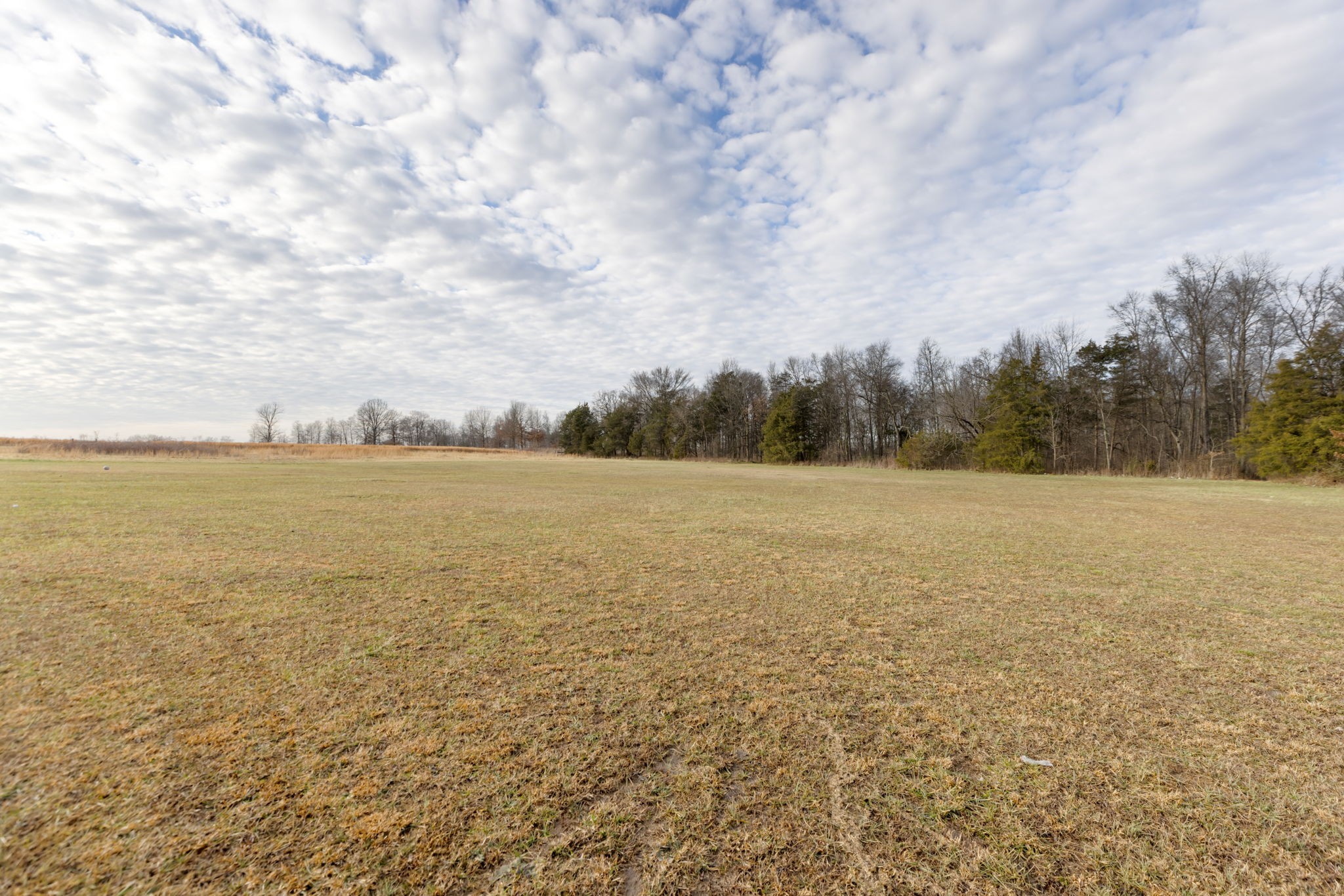 353 Helton Road Lewisburg, TN 37091 - Photo 35 of 41