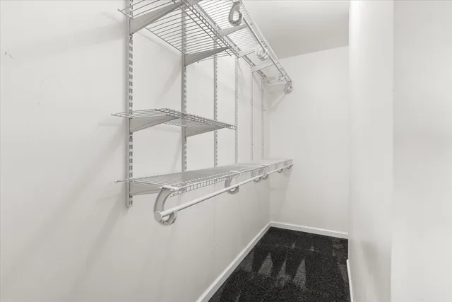 a bathroom with a shower and a toilet