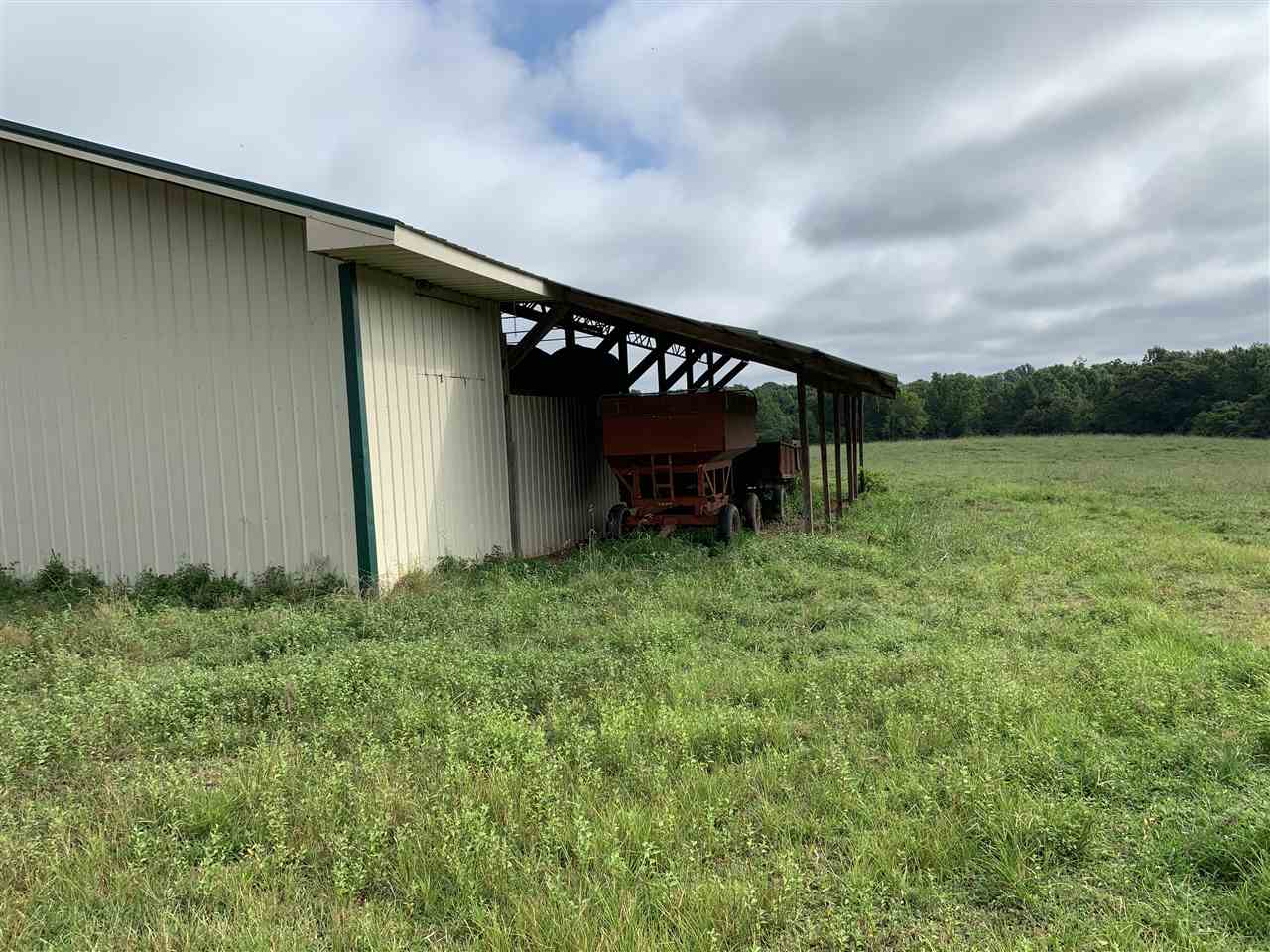 11 Tom Baker Road Clifton, TN 38425 - Photo 13 of 16 Gallery Image 13