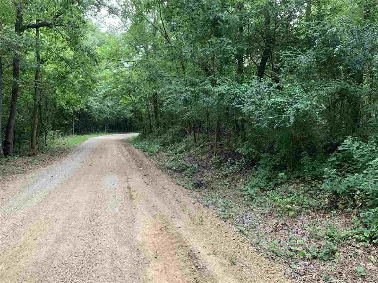 11 Tom Baker Road Clifton, TN 38425 - Photo 5 of 16 Gallery Image 5