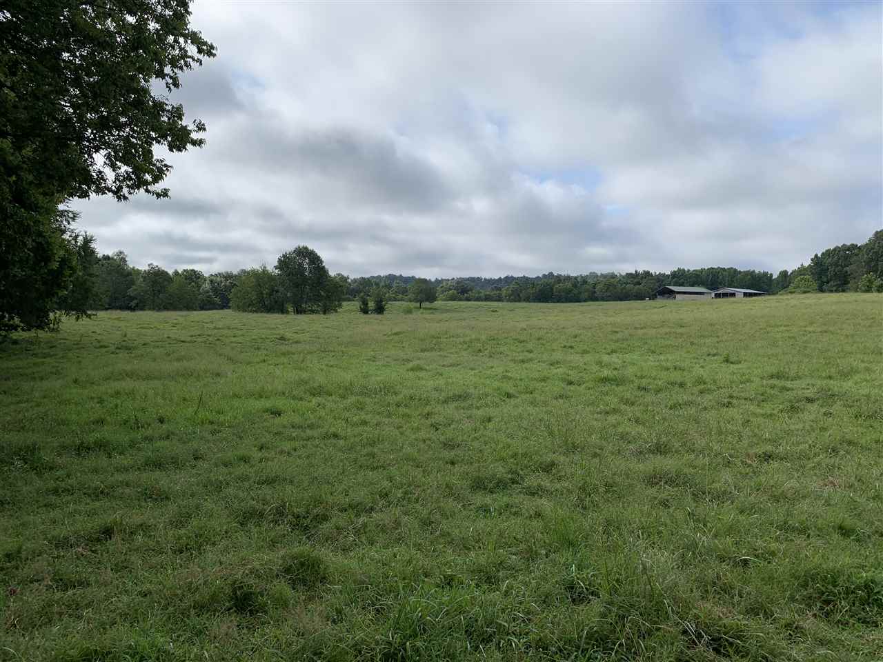 11 Tom Baker Road Clifton, TN 38425 - Photo 6 of 16 Gallery Image 6