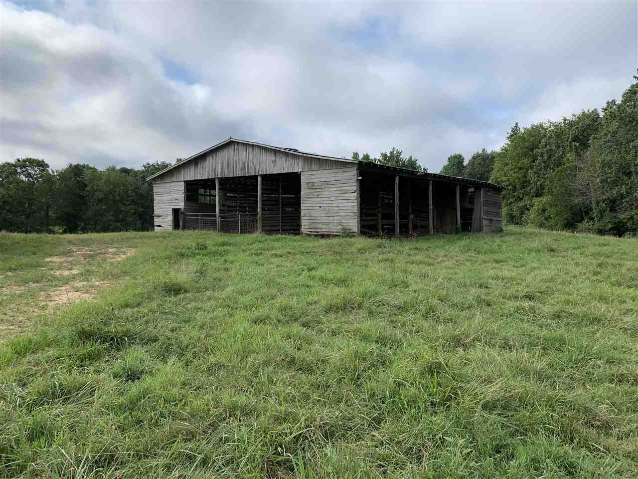 11 Tom Baker Road Clifton, TN 38425 - Photo 10 of 16 Gallery Image 10