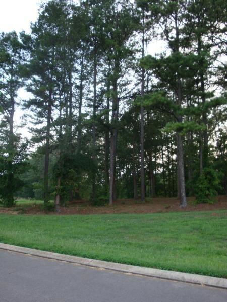 121 Riverside Drive Benton, TN 37307 - Photo 4 of 7 a view of a park