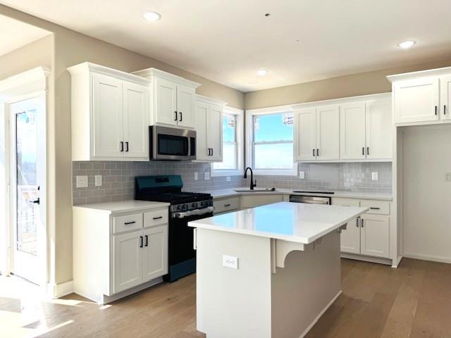 29509 West 196th Street Gardner, KS 66030 - Photo 17 of 46