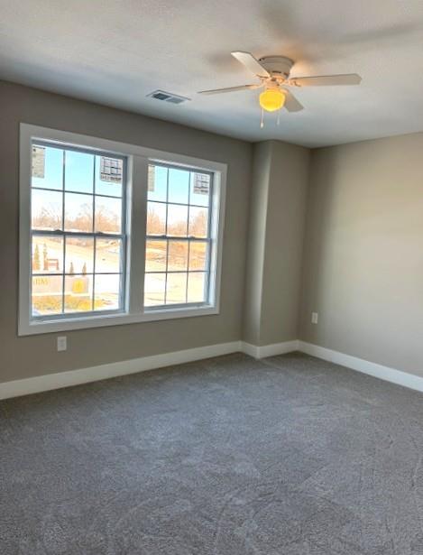 29509 West 196th Street Gardner, KS 66030 - Photo 38 of 46