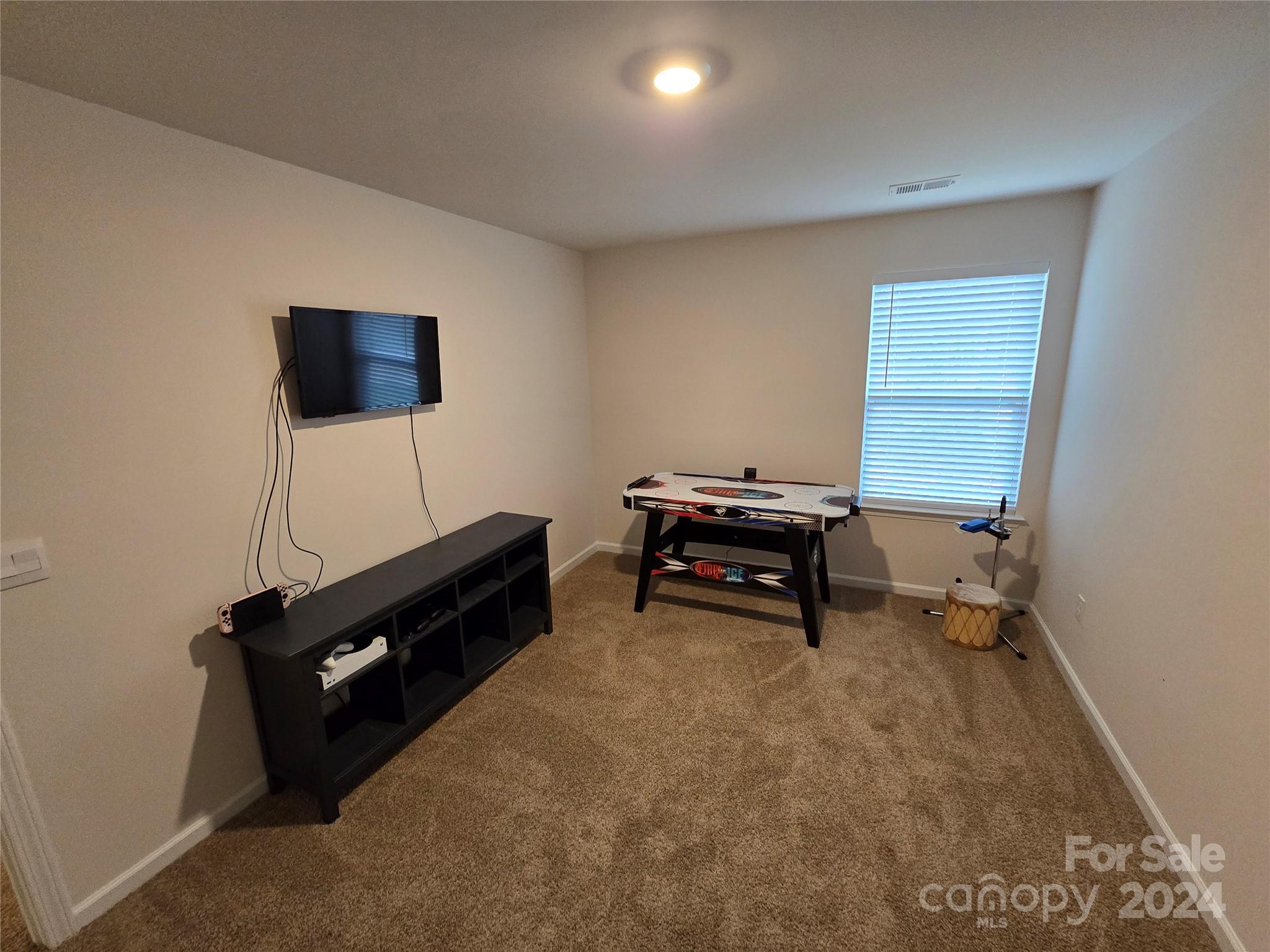 224 Roper Street Candler, NC 28715 - Photo 14 of 20 Gallery Image 14