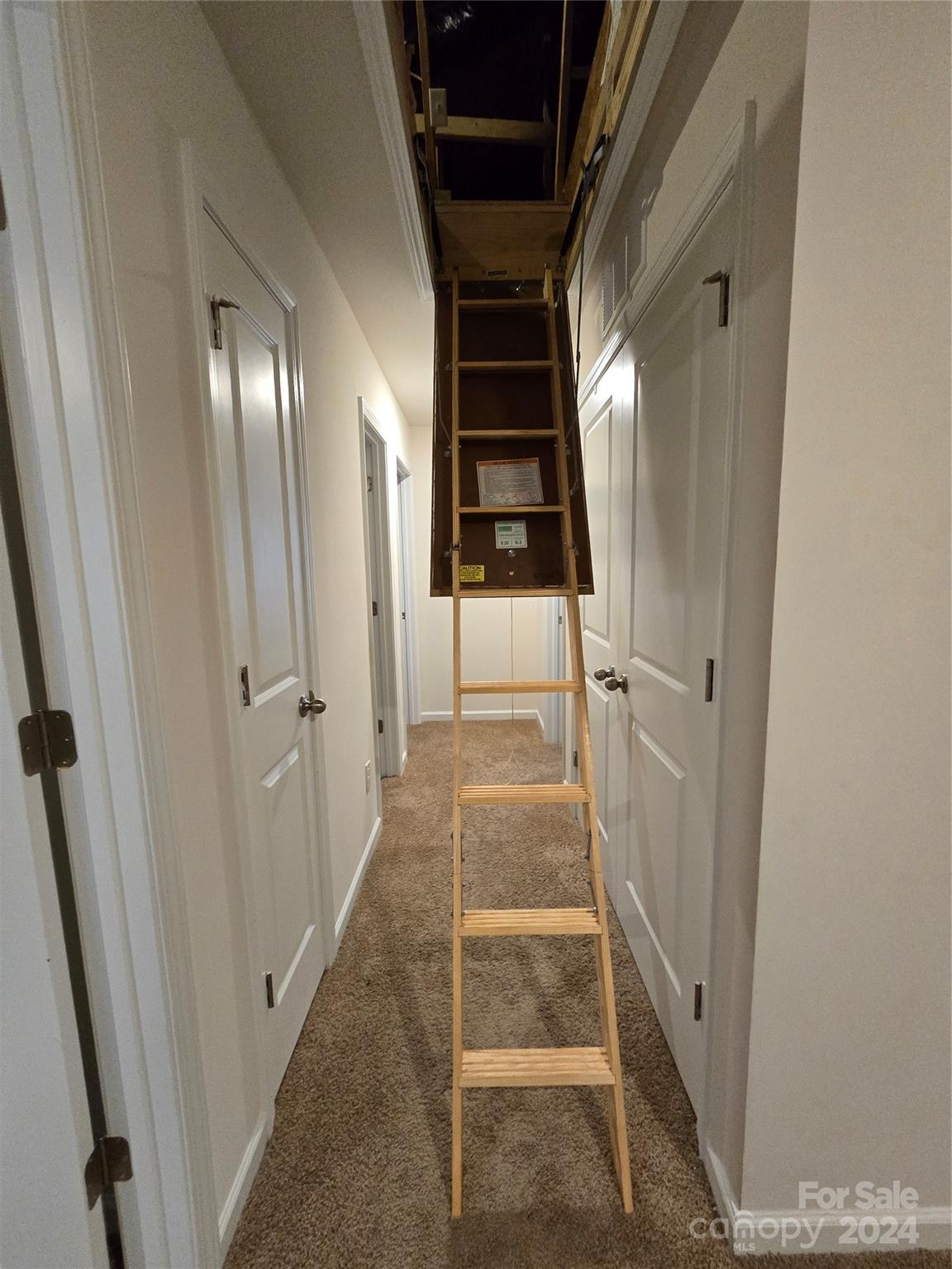 224 Roper Street Candler, NC 28715 - Photo 19 of 20 Gallery Image 19