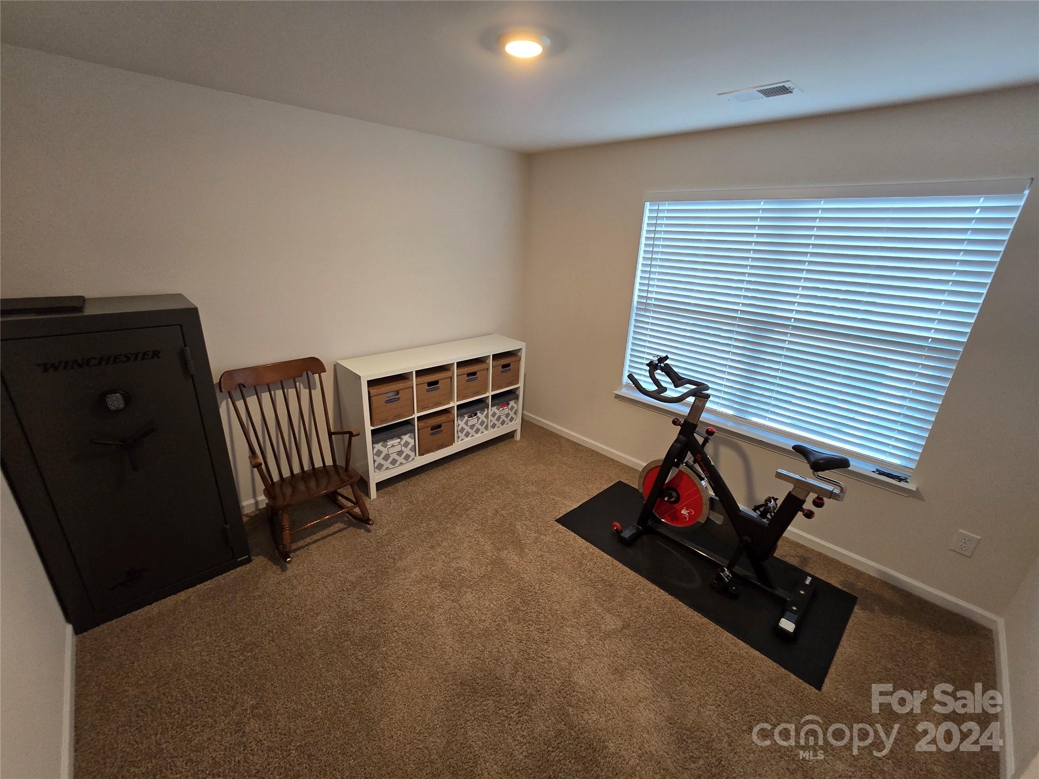 224 Roper Street Candler, NC 28715 - Photo 10 of 20 Gallery Image 10