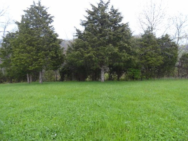1014 Lincoln Ridge Road Williamstown, KY 41097 - Photo 3 of 13 Photo 3