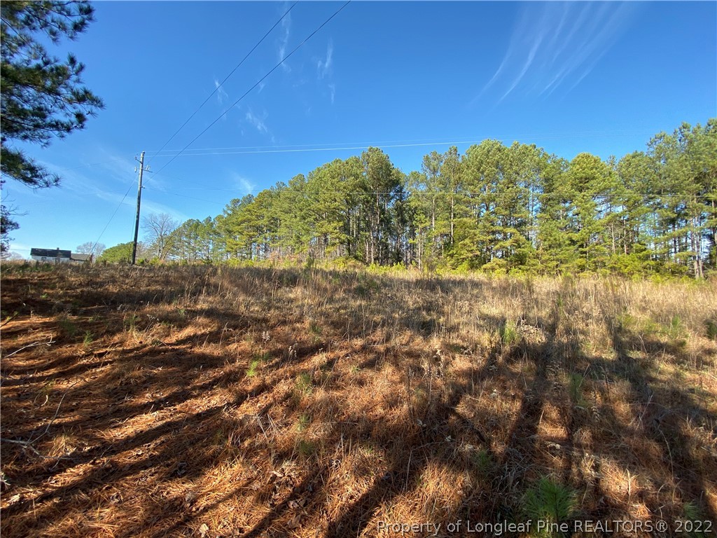 Dycus Road Sanford, NC 27330 - Photo 1 of 3 Gallery Image 1