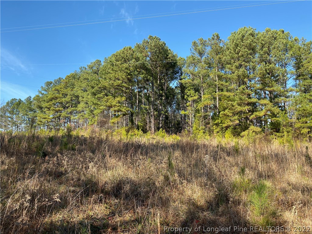 Dycus Road Sanford, NC 27330 - Photo 2 of 3 Gallery Image 2