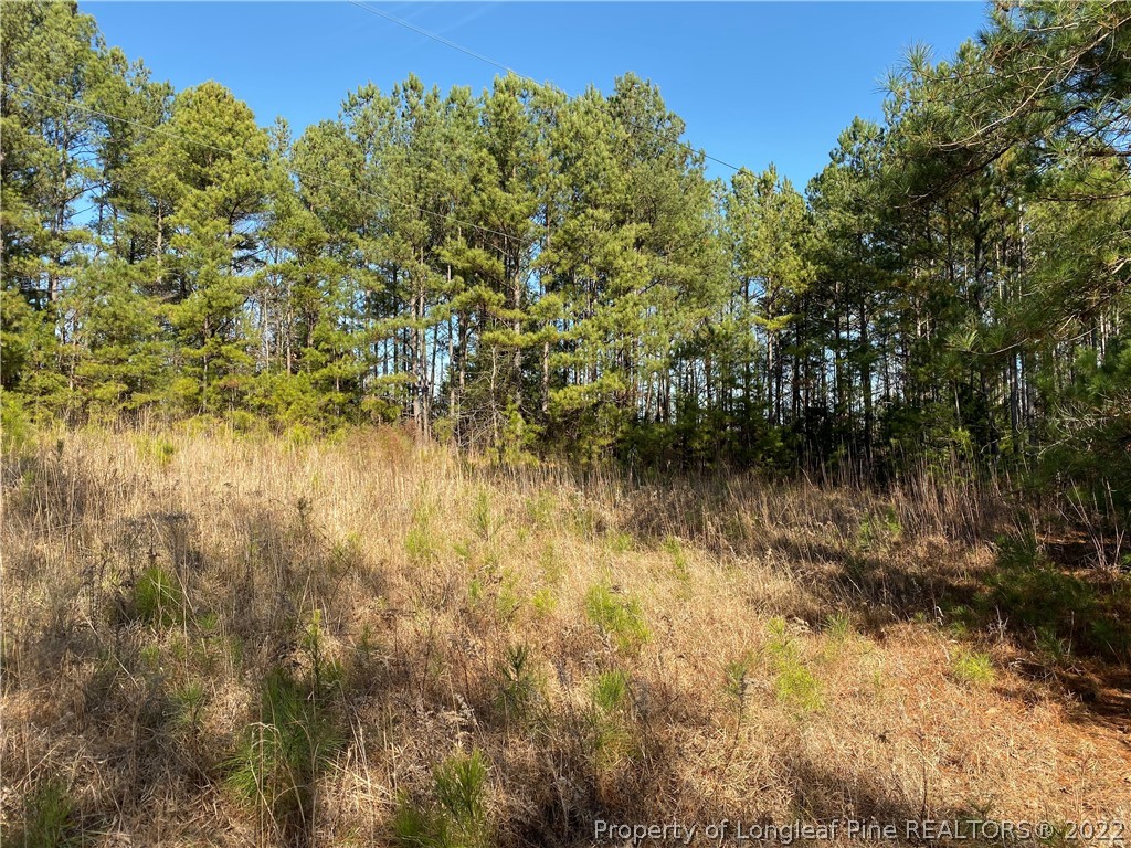 Dycus Road Sanford, NC 27330 - Photo 3 of 3 Gallery Image 3