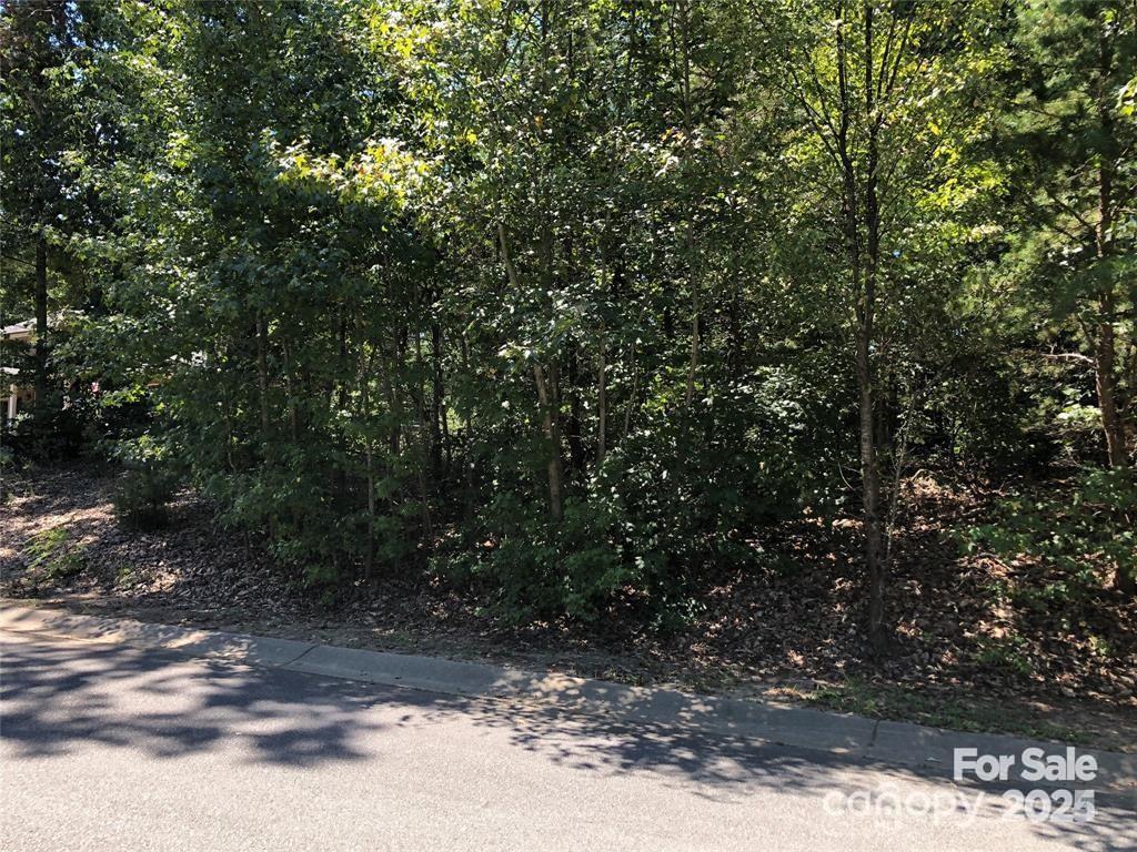 0 Ridgeline Drive, Unit 1 Salisbury, NC 28146 - Photo 2 of 8 a view of a forest
