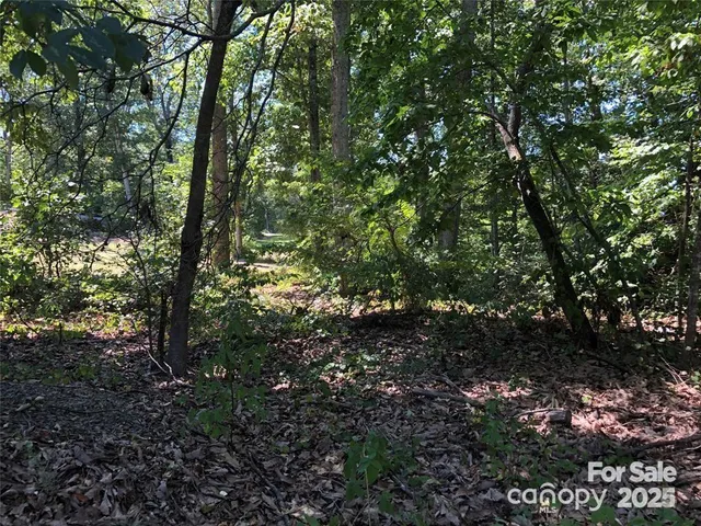 a view of trees in a yard