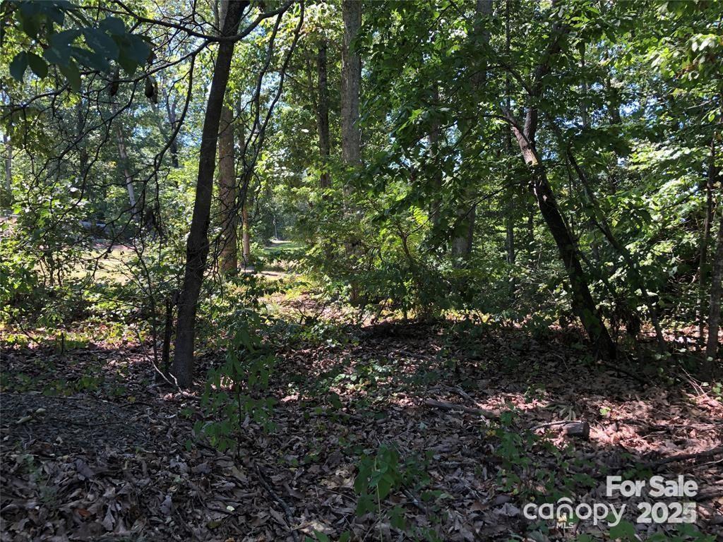 0 Ridgeline Drive, Unit 1 Salisbury, NC 28146 - Photo 5 of 8 a view of trees in a yard