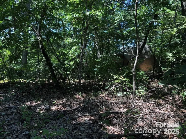 a view of bushes and tree