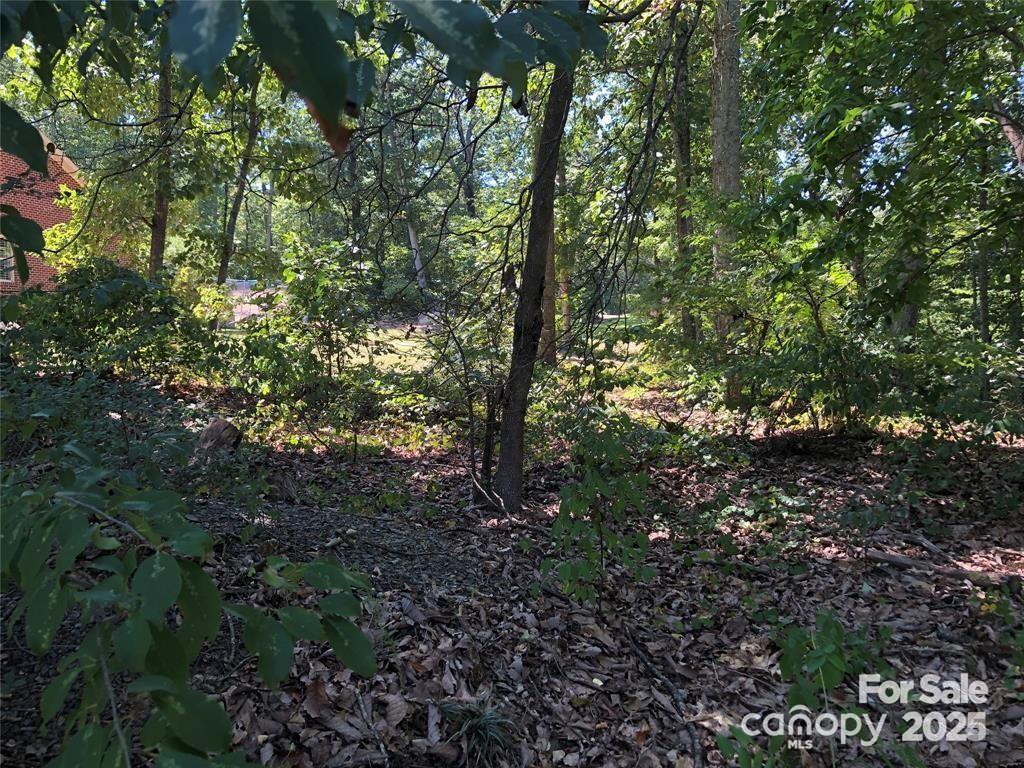 0 Ridgeline Drive, Unit 1 Salisbury, NC 28146 - Photo 8 of 8 a view of a forest with lots of trees