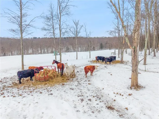 $1,080,000 | 48 Zimran Drive, Rossiter, PA 15772