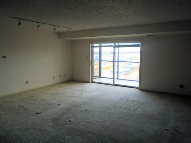 1133 North 7th Street, Unit 706 Rochelle, IL 61068 - Photo 3 of 8