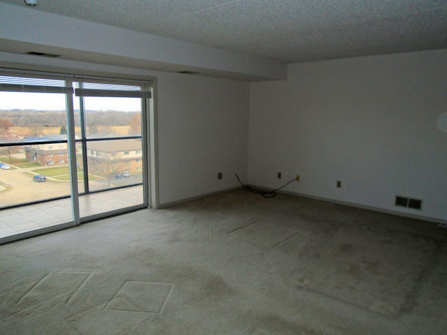 1133 North 7th Street, Unit 706 Rochelle, IL 61068 - Photo 4 of 8